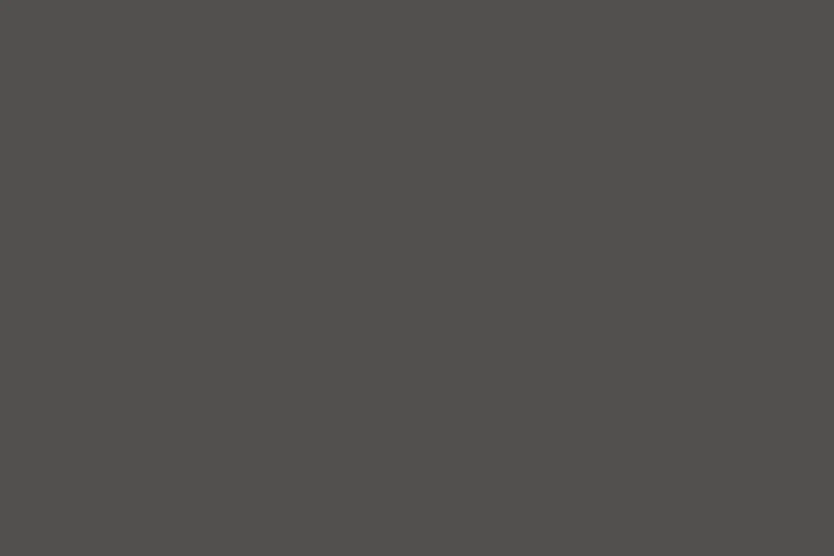CMG Dark Bronze - Ultra Low Gloss digital metal finish reference